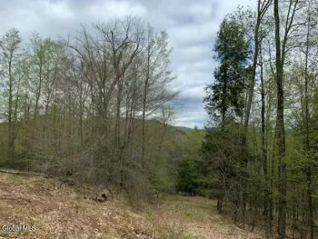 Property at L4 Alder Brook Road, Horicon, NY 12815