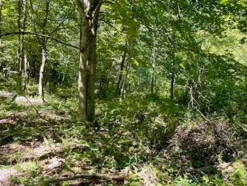 Property at L35 Off Harring Extension, Cairo, NY 12413