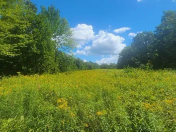 Property at L1.2 Mcmillan Road, Duanesburg, NY 12137
