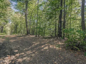 Property at L43.3 Hinds Road, Providence, NY 12074