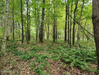 Property at L5 Stage Road, White Creek, NY 12028