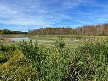Property at L27 Duanesburg Road, Duanesburg, NY 12053