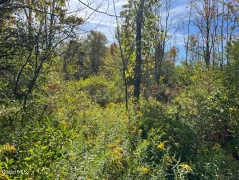 Property at L16.4 Duanesberg Road, Duanesburg, NY 12056