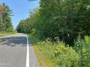Property at L12.100 Willsie Road, Berne, NY 12023