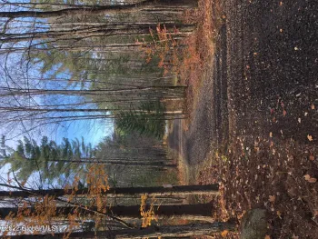 Property at 2442 State Rt 8, Lake Pleasant, NY 12108