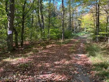Property at 123 Wildwood Lane, Broome, NY 12122