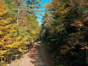 Property at 173 Cleveland Road, Johnsburg, NY 12843