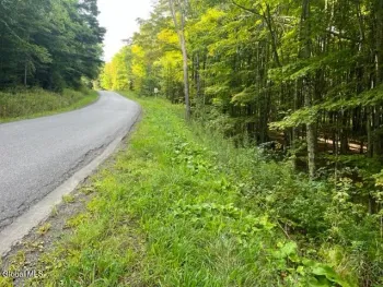 Property at L6 Gun House Hill Road, Harpersfield, NY 13786
