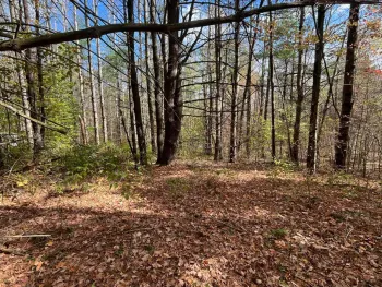 Property at L5.2 Warner Road, Hebron, NY 12832