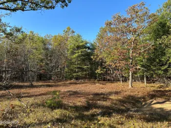 Property at L31 Gulf Hill Road, Berne, NY 12059