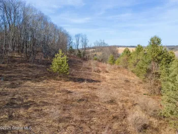 Property at L20.2 Indian Brook Road, Greene, NY 13778