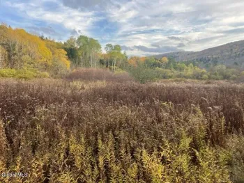Property at L8 Sawyer Hollow Road, Fulton, NY 12149