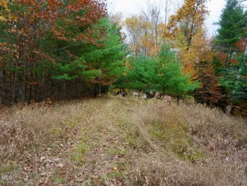 Property at 75 Carey Road, Day, NY 12835