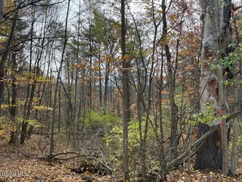 Property at 954A Route 9N, Ausable, NY 12912