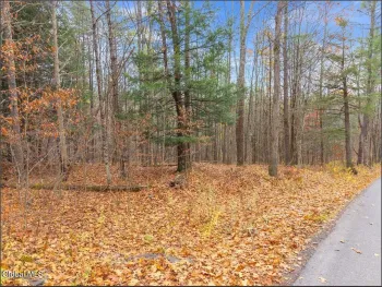 Property at L1.1 Lassen Road, Broome, NY 12122