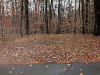 Property at L18.100 North Road, Benson, NY 12134