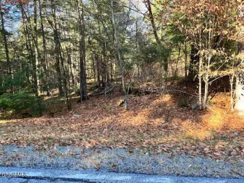 Property at L5.322 South Trout Lake Road, Bolton, NY 12814