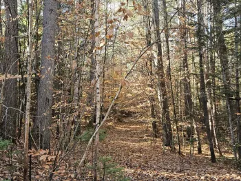 Property at 183 Mountain Path, Johnsburg, NY 12853