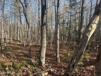 Property at 3171 NY-8, Johnsburg, NY 12843