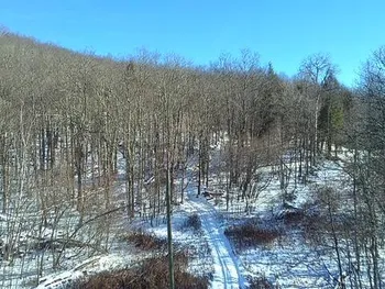 Property at L1 Peakville Road, Hancock, NY 13783