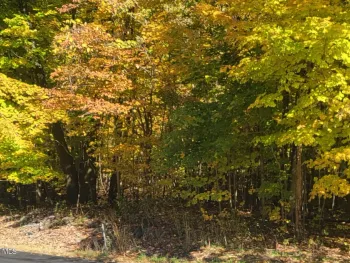 Property at L3 Route 145, Cairo, NY 12413