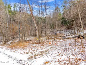 Property at L4 Flat Creek Road, Gilboa, NY 12076