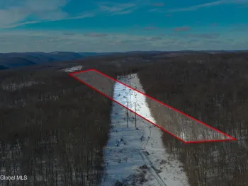 Property at L9 Methol Cooks Falls, Colchester, NY 12776