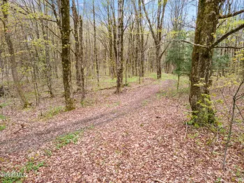 Property at L15 Kostenko Sutton Road, Pitcher, NY 13136