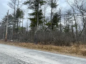 Property at L40.000 Stone Mt Road, Cairo, NY 12473
