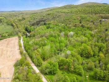 Property at L11 Sternberg Road, Jefferson, NY 12167