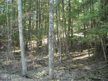 Property at l-8.111 Carpenter, Pittstown, NY 12094