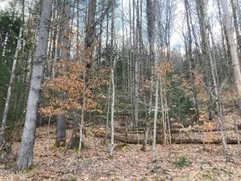 Property at 652 New Vermont Road, Bolton, NY 12814