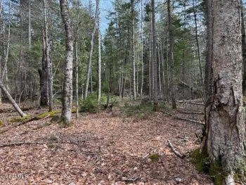 Property at L34.1 Youngs Road, Schroon, NY 12870