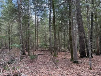 Property at L34.2 Youngs Road, Schroon, NY 12870