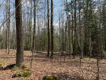 Property at L34.3 Youngs Road, Schroon, NY 12870