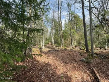 Property at L34.4 Potash Hill Road, Schroon, NY 12870