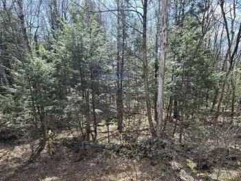 Property at L45 Jacobs Ladder Road, Becket, MA 01223