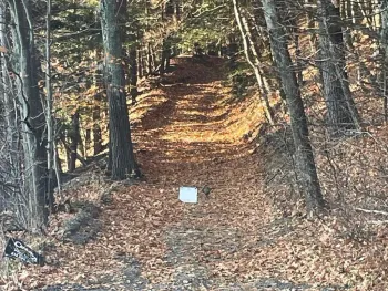 Property at L26 & L27 Ecker Hollow Road, Cobleskill, NY 12043