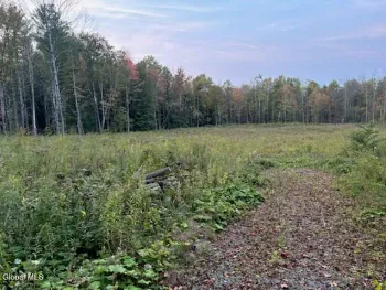 Property at L100.1 Perth Road, Galway, NY 12086
