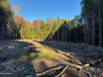 Property at L1.112 Kipple Road, Sand Lake, NY 12153