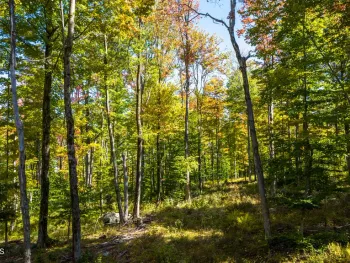 Property at L30 Blue Factory Hill Road, Grafton, NY 12052