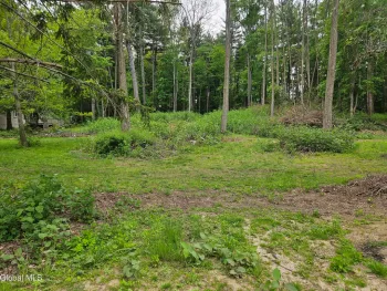Property at 85 Willow Street, Guilderland, NY 12084