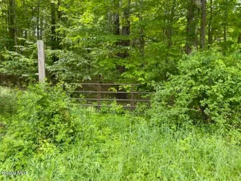 Property at 467 Roosevelt Avenue, Cairo, NY 12413