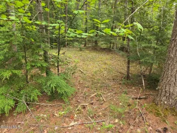 Property at L2 & L3 Old Schroon Road, Pottersville, NY 12860