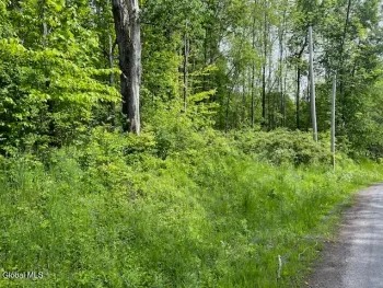 Property at L9 Harrington, Gilboa, NY 12076