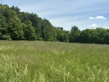 Property at 171 Orchard Road, Ghent, NY 12075