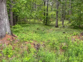 Property at 2447 NY-28, Johnsburg, NY 12886