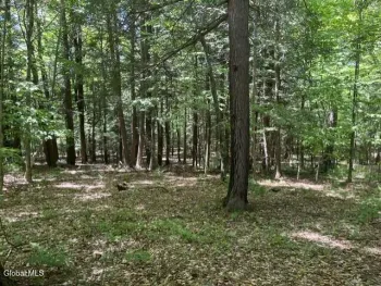 Property at L7 Myers Road, Cobleskill, NY 12092
