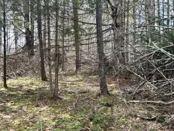 Property at L6.34 Weaver Dam Road, Petersburgh, NY 12138