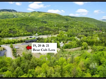 Property at 19, 20, 21 Bear Cub Drive, Johnsburg, NY 12853
